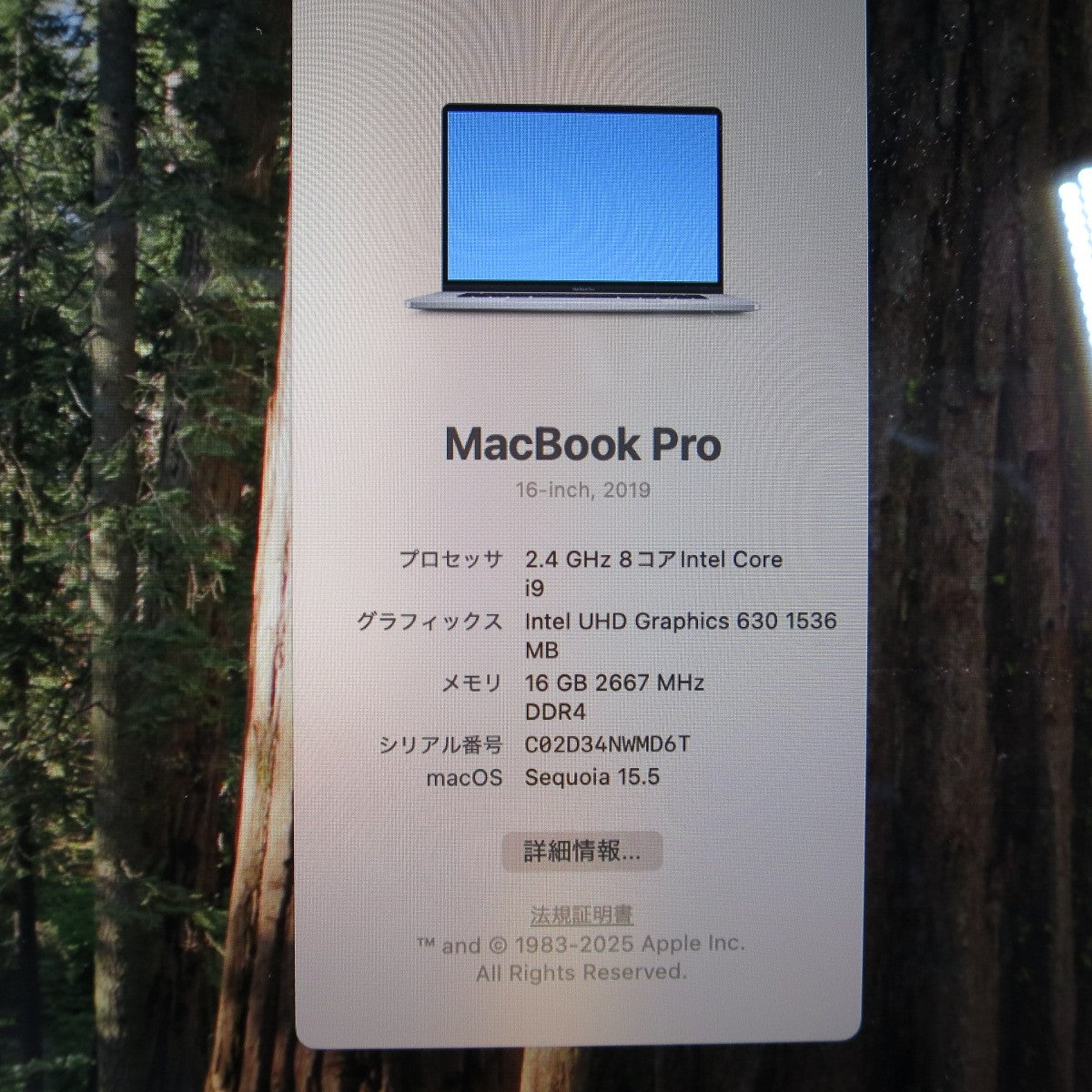 [送料無料] ☆Apple mac book Pro A2141 16-inch, 2019 Core i9 16GB 1TB ノート PC パソコン マックブック プロ アップル☆