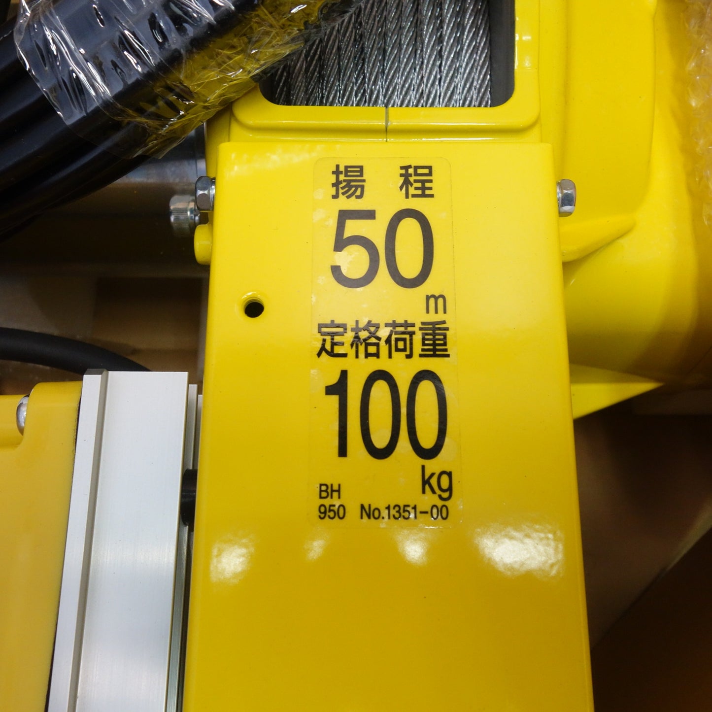 [送料無料] 未使用☆トーヨーコーケン 2本掛け ベビー ホイスト 有線操作タイプ 100V BH-E950 定格荷重100kg 揚程 50m 小型 ウインチ 吊下げ式巻上機☆