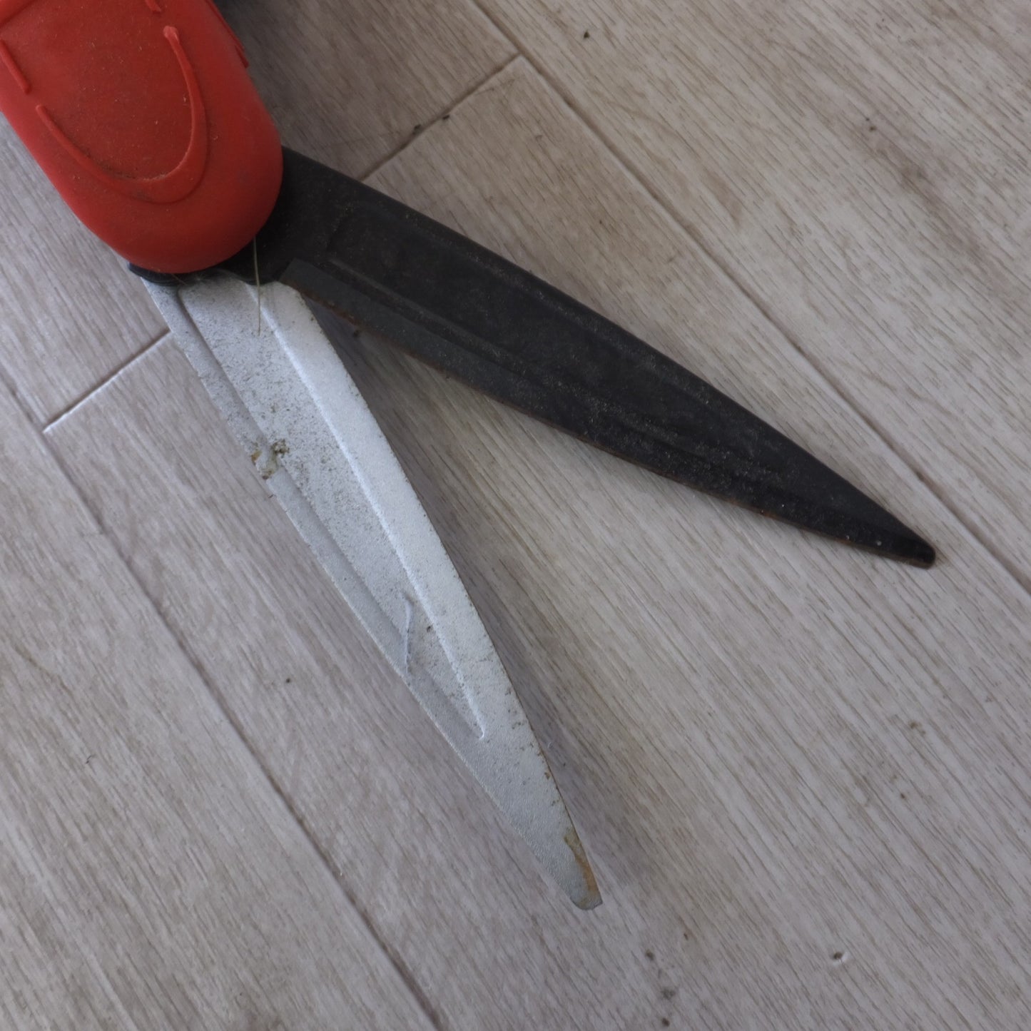 [送料無料] 岐阜発★藤原産業 千吉 立ち刈り芝生鋏 SGW-1　芝生鋏　セット★