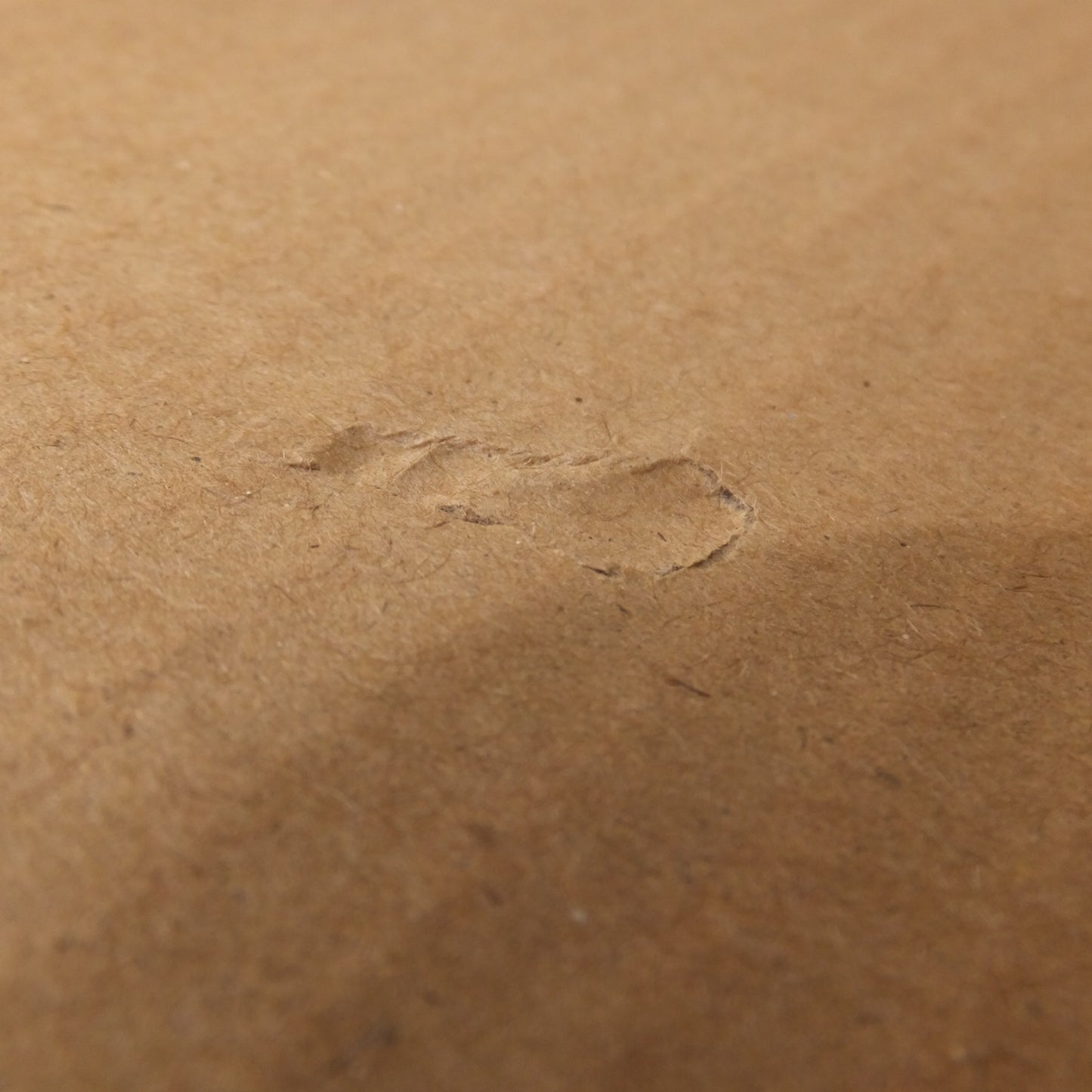 [送料無料] 未使用★マキタ makita 充電式噴霧器 MUS158DWF　タンク容量 15L　Li-ion 18V LXT IP54 3.0Ah　セット品 バッテリ1個 充電器 付★